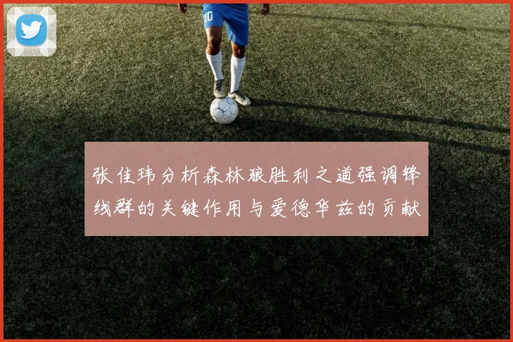 张佳玮分析森林狼胜利之道强调锋线群的关键作用与爱德华兹的贡献